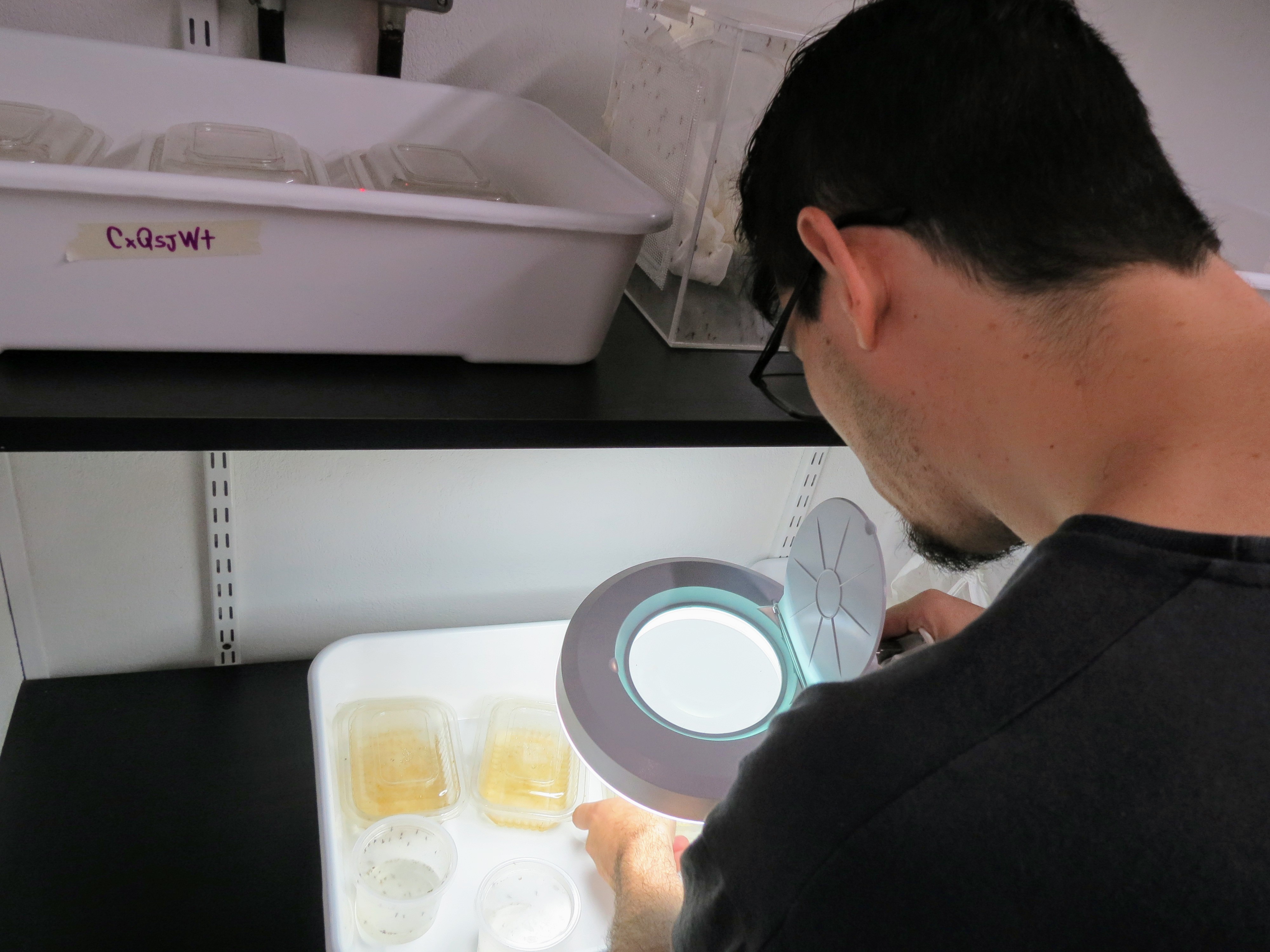 Prácticas de investigación