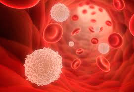 Tesisinista Microbiología Agrícola Tesisinista Microbiología Agrícola