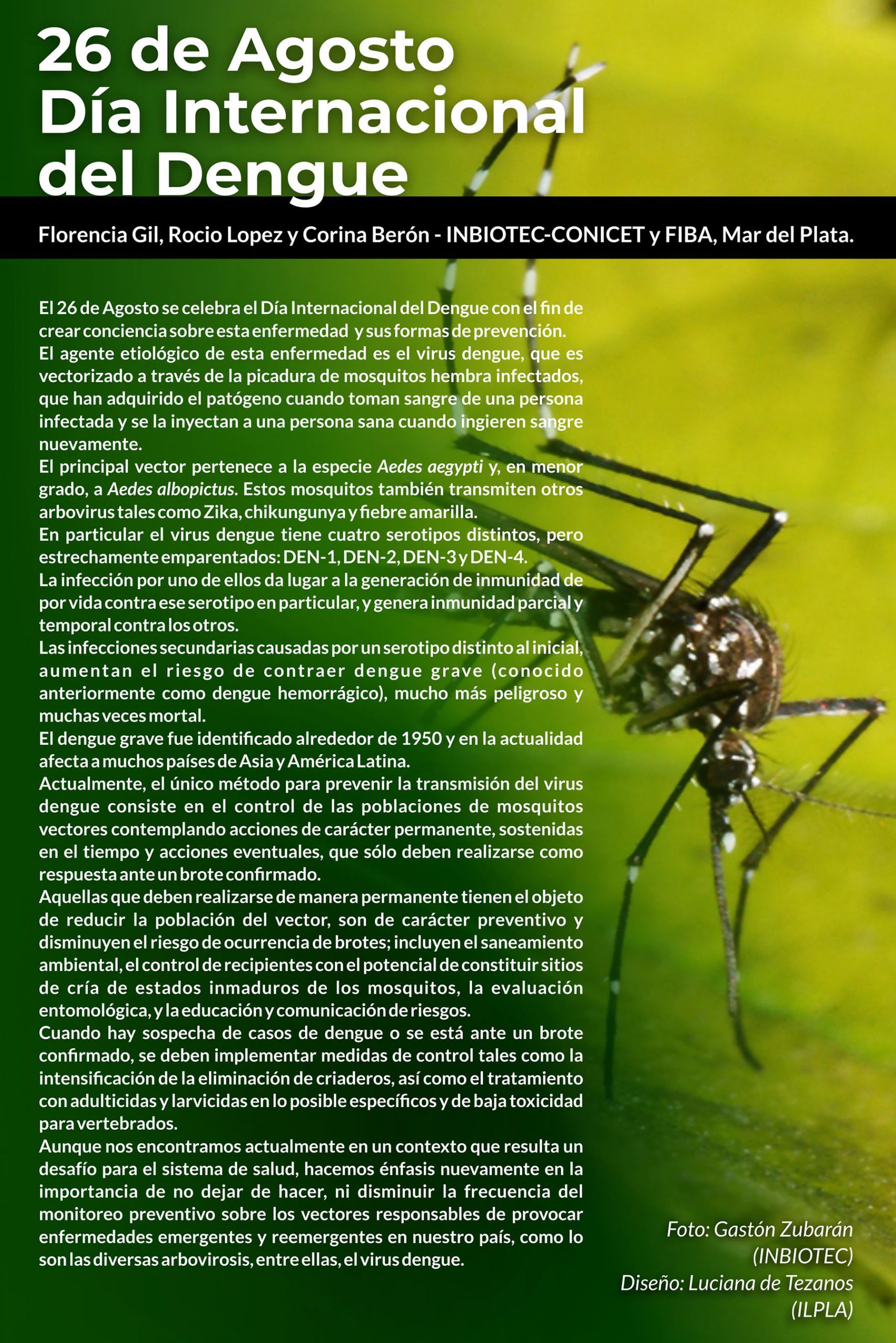 26 de Agosto, Día Internacional del Dengue