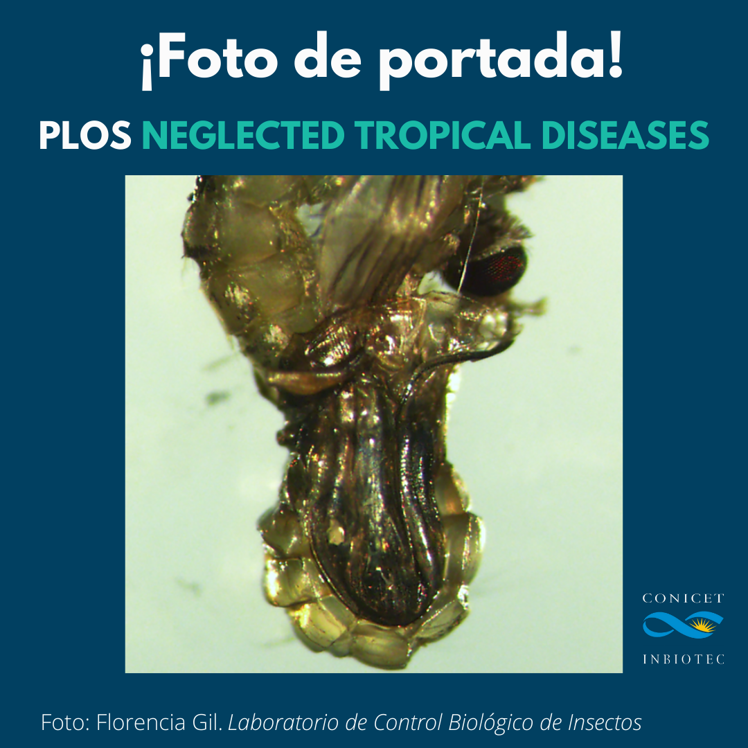 ¡Foto de portada en Plos Neglected Tropical Diseases!