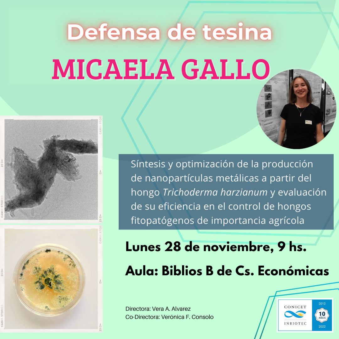 Defensa de tesina: Micaela Gallo