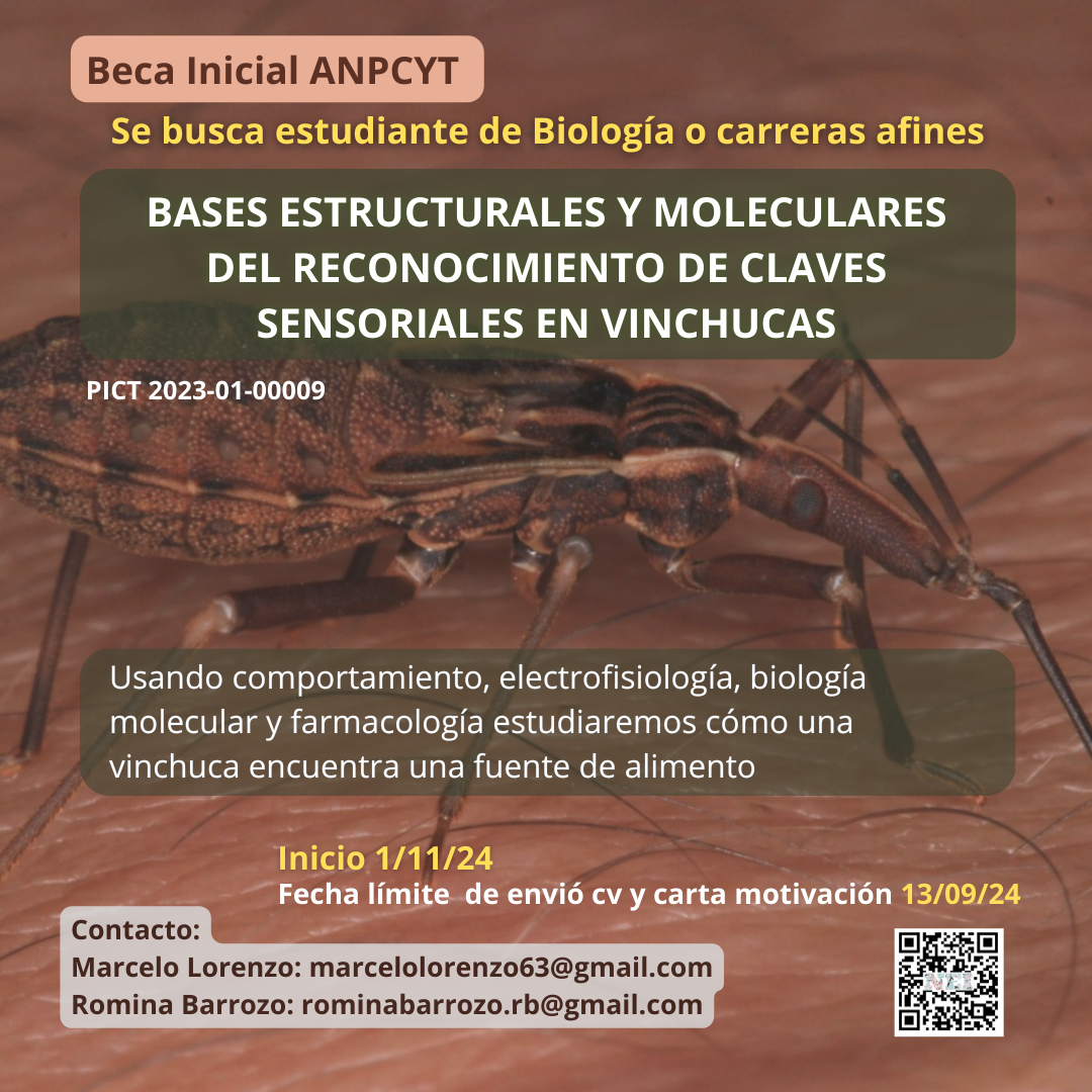 oferta beca doctoral Lab. Lorenzo