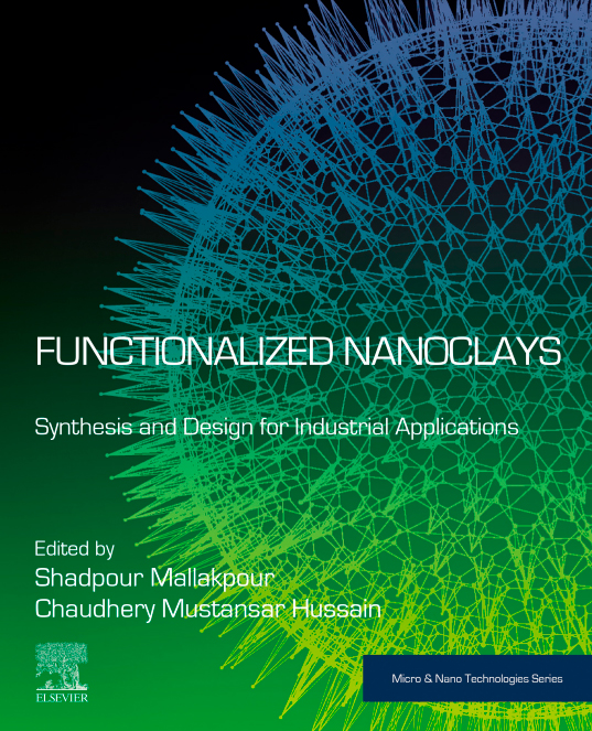 Functionalized nanoclays in textile industry for the stabilization of natural pigments