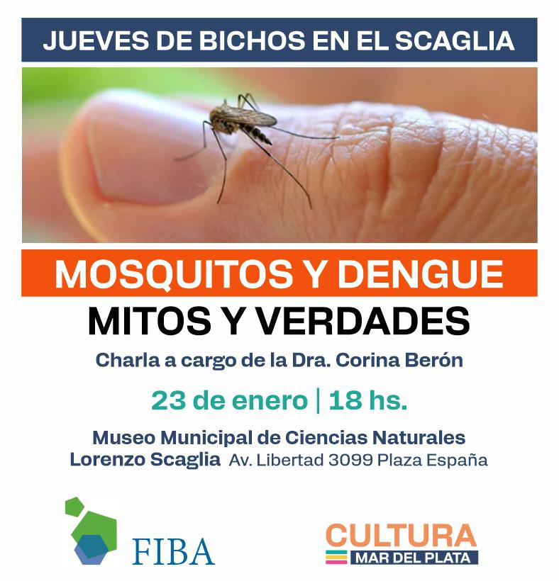 Mitos y verdades sobre los mosquitos