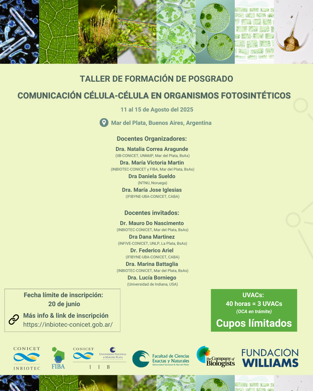 Taller de formación de posgrado | Comunicación célula-célula en organismos fotosintéticos