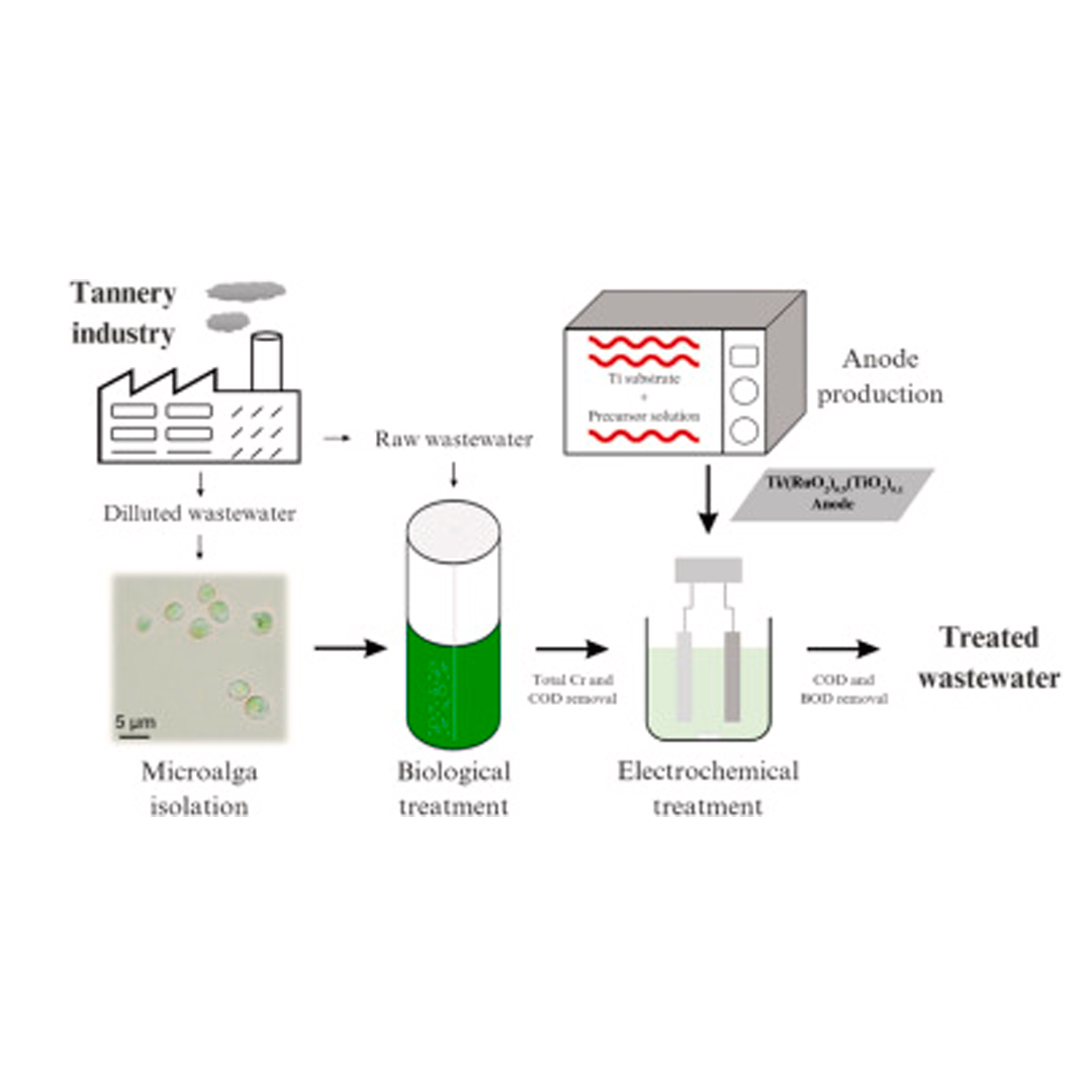 Sequential treatment of tannery wastewater using microalgae and microwave-prepared anodes
